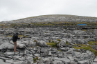 Exposures along margins of country road R477 of Dinantian Burren Limestone Formation. These Carboniferous limestons are composed of shallow water carbonates. Note the clints (limestone blocks) and grikes (joints and fractures) extensively enlarged by Pleistocene dissolution. Topography almost devoid of vegetation, though when it occurs it fills prominent grikes.